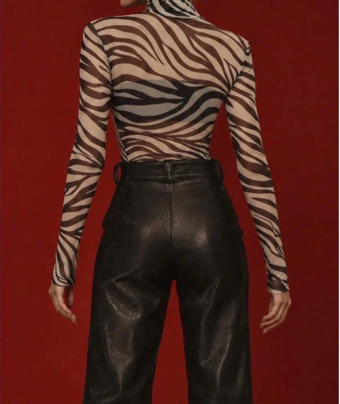 Lumina Zebra Body