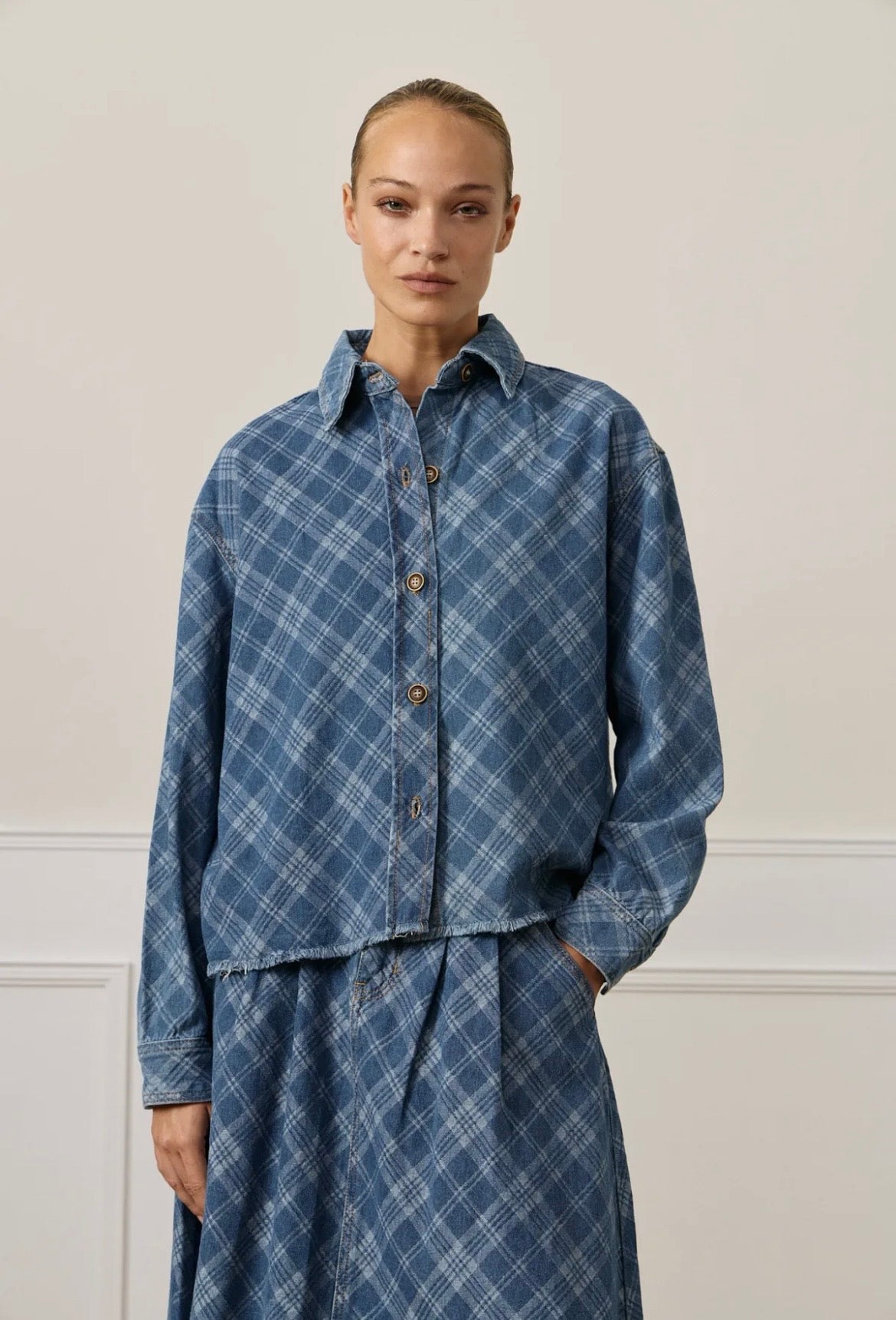 Plaid Denim Shirt