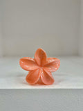 Blossom - Peach