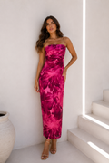 Fuchsia Dream