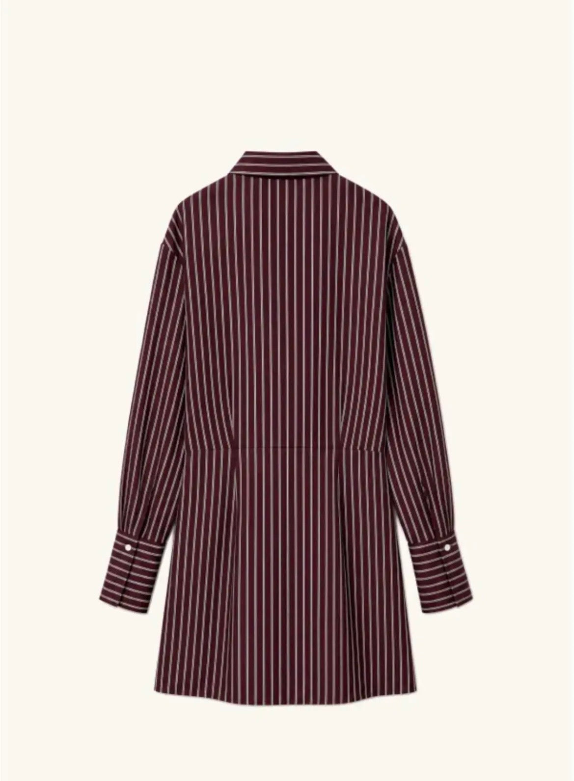 Lumina shirt dress