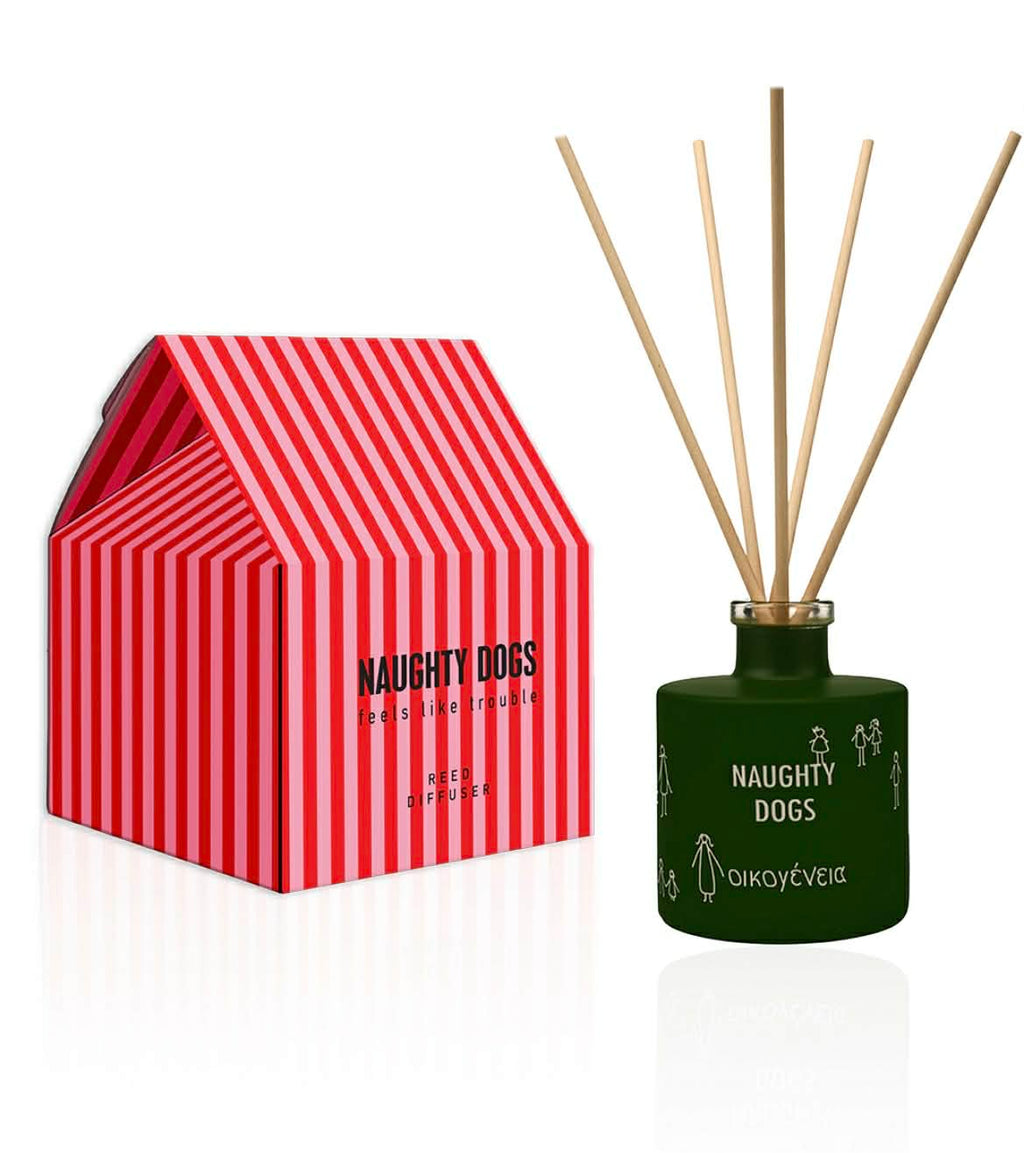 Diffuser Οικοένεια 100ml