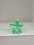 Blossom - Mint